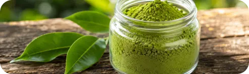 Green tea botanical extract